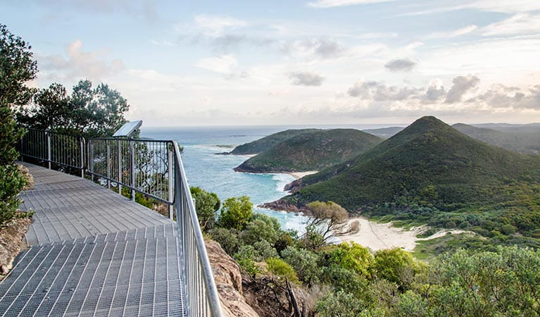 Best Things to Do in Summer in Shoal Bay